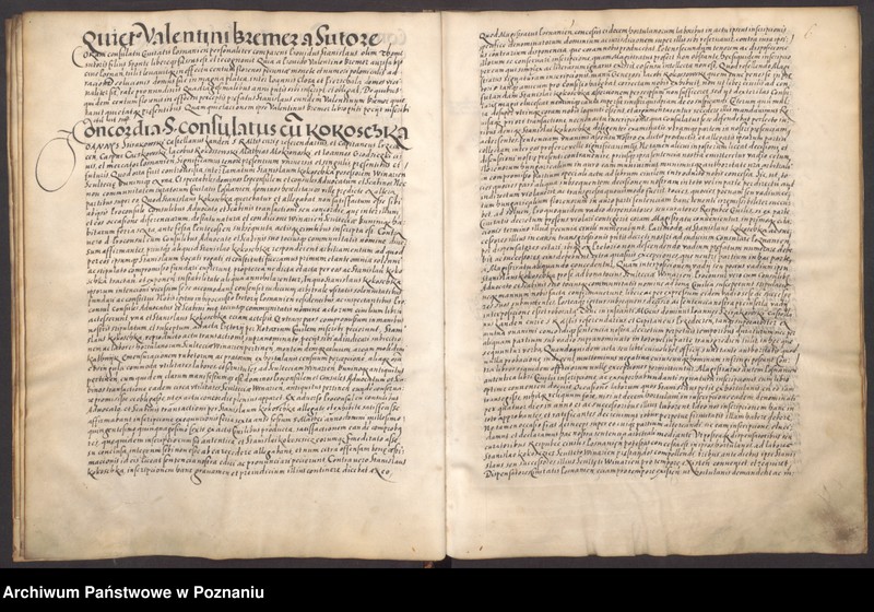 Obraz 10 z jednostki "Liber obligationum, decretorum, quietationum, contractuum. Acta civitatis Posnaniensis."
