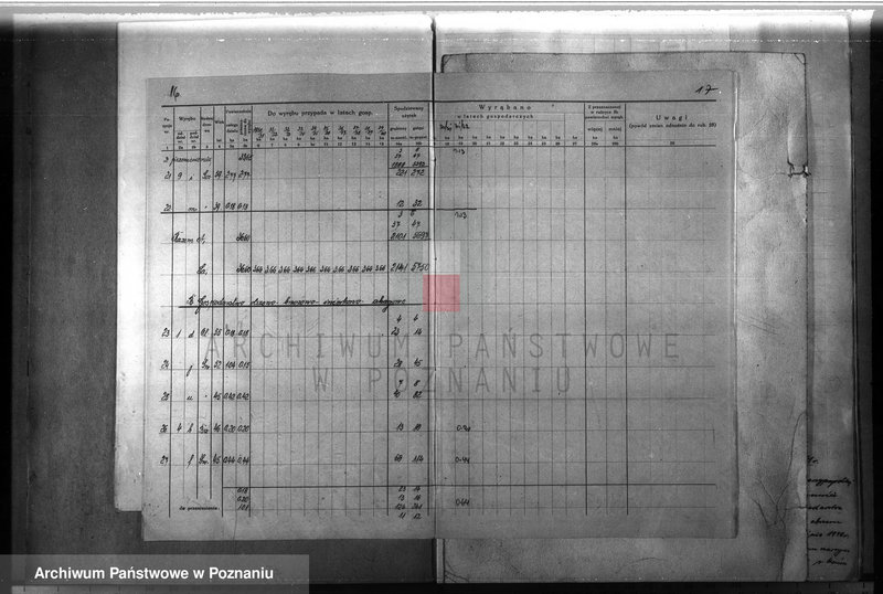 Obraz 18 z jednostki "Majątek Lutom w powiecie międzychodzkim 1930-1940 Plan urządzenia gospodarstwa leśnego"
