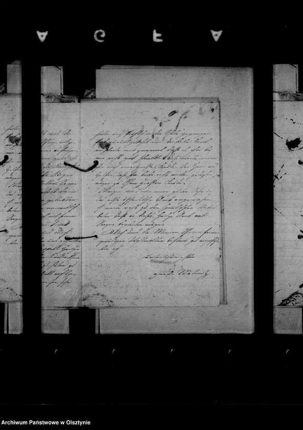 image.from.unit.number "/Briefe des Hauslehrers Dr. G. Molwitz an Anna Gfin Lehndorff/"