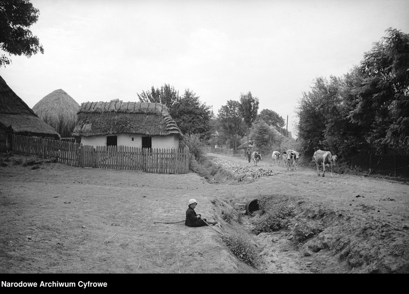 image.from.unit.number "Ottyniowice w województwie lwowskim"