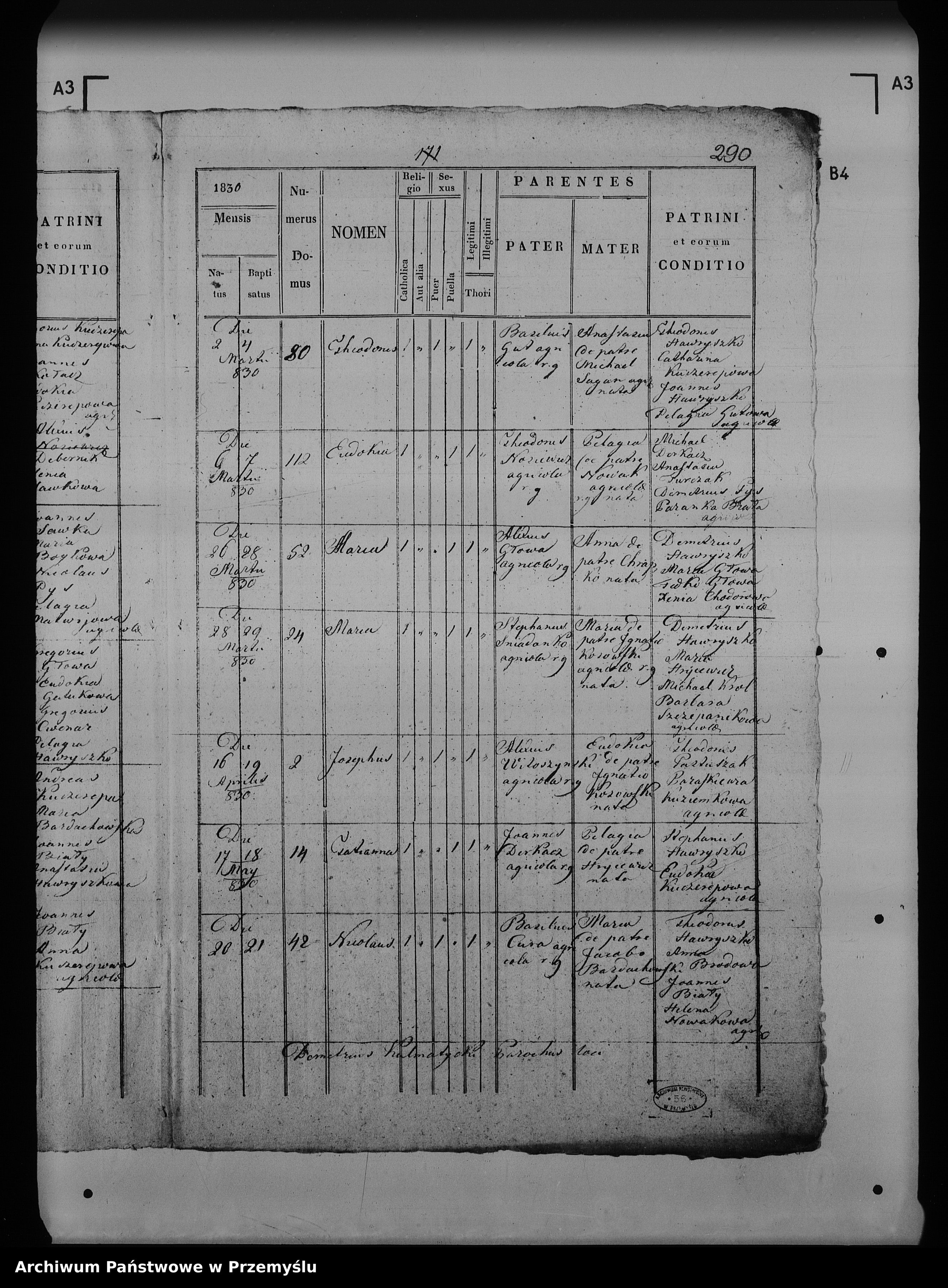 Skan z jednostki: [Kopie ksiąg metrykalnych parafii Maćkowice z filią Kosienice (dekanat Przemyśl)]