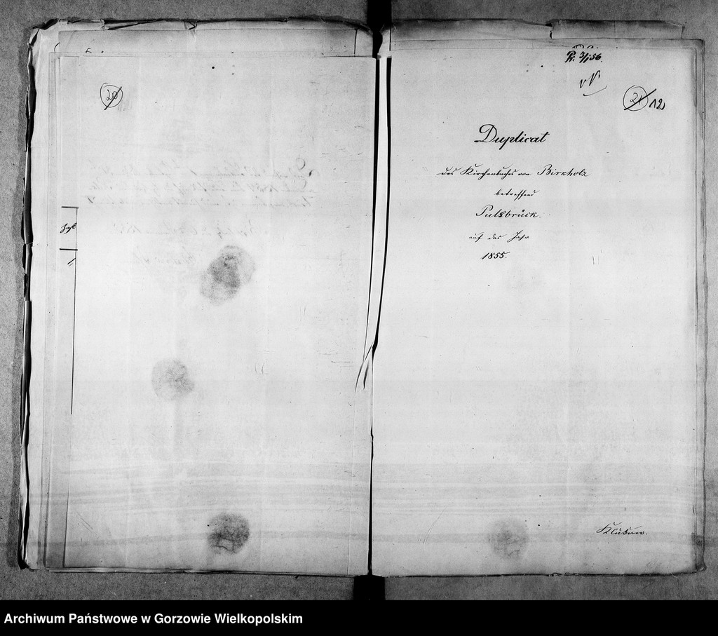 image.from.unit.number "Duplikate der Kirchenbücher von Pulsbrück (Pełczyska):zur Parochie Birkholz (Brzoza) gehörig"