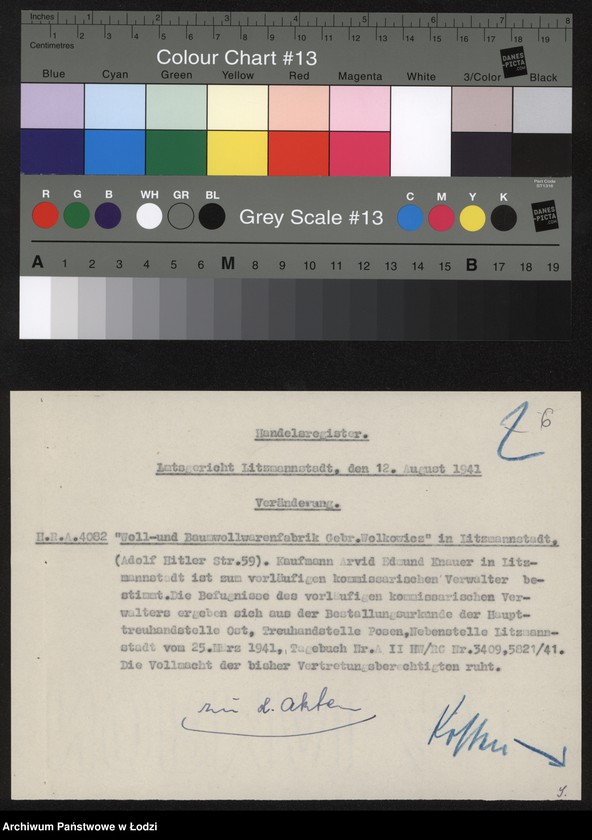 Obraz 8 z jednostki "Bracia Wołkowicz"