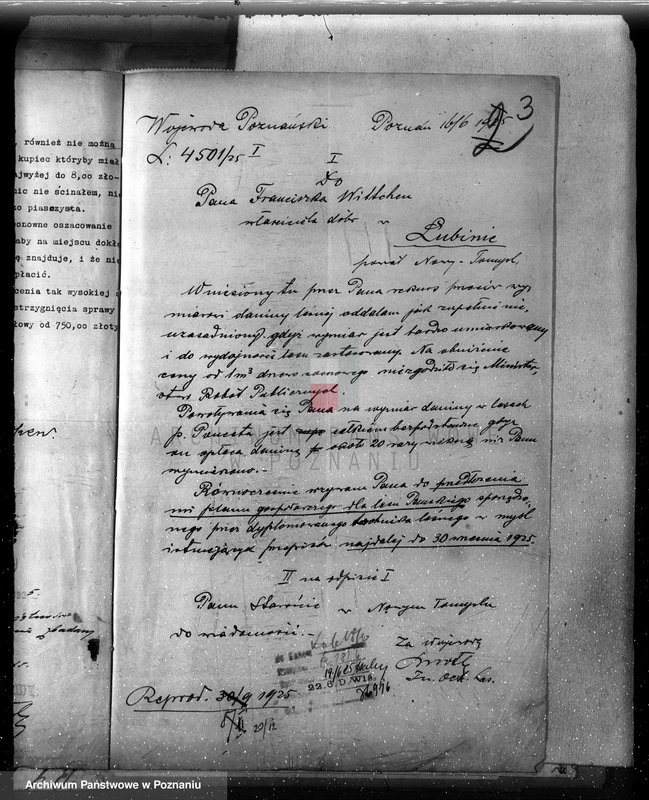 Obraz 7 z jednostki "/Nadzór nad gospodarką w lasach majątku Lubień-Helowskie w powiecie nowotomyskim"