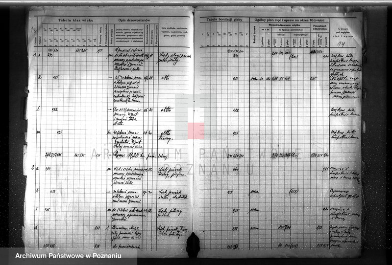 image.from.unit.number "Plan urządzenia gospodarstwa leśnego dla lasu Anny Far w Piotrowie powiat szamotulski 1930-1940"