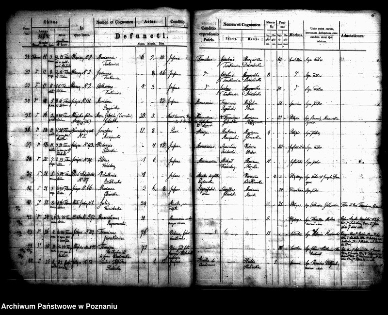 Obraz 5 z jednostki "Księga zgonów"