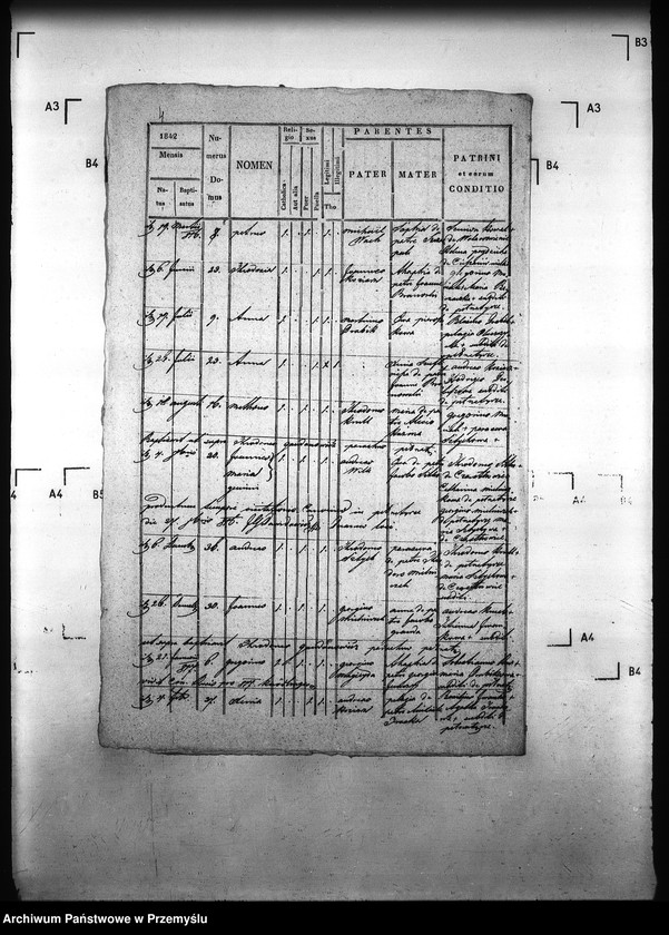 image.from.unit.number "[Kopie ksiąg metrykalnych parafii Pełniatycze z filiami Cząstkowice, Czelatyce, Roźwienica, Rożniatów, Rudołowice, Wola Roźwienicka (dekanat Pruchnik)]"