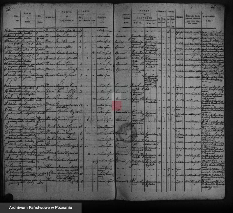 Obraz 20 z jednostki "Duplicat copulatorum, baptisatorum, mortuorum"