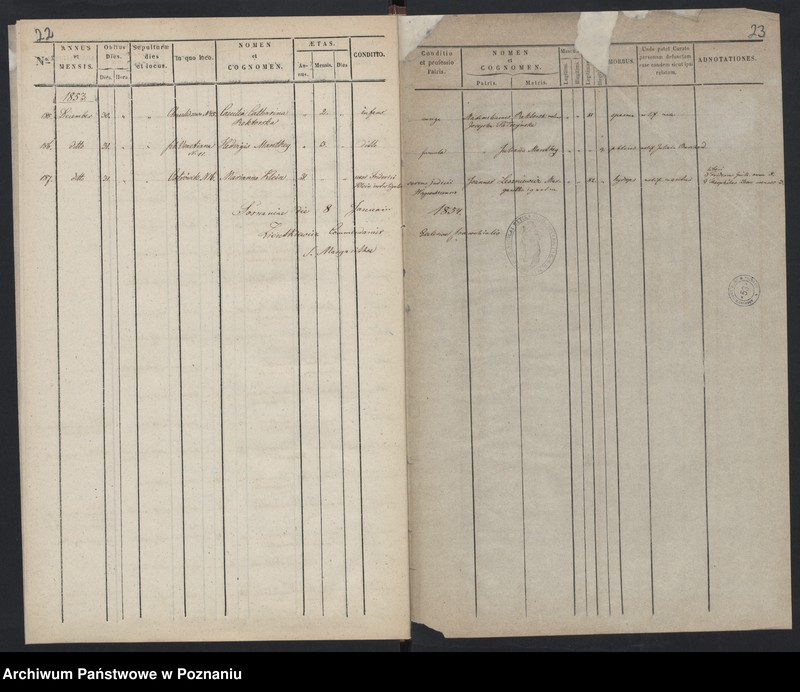 Obraz 14 z jednostki "Księga zgonów"