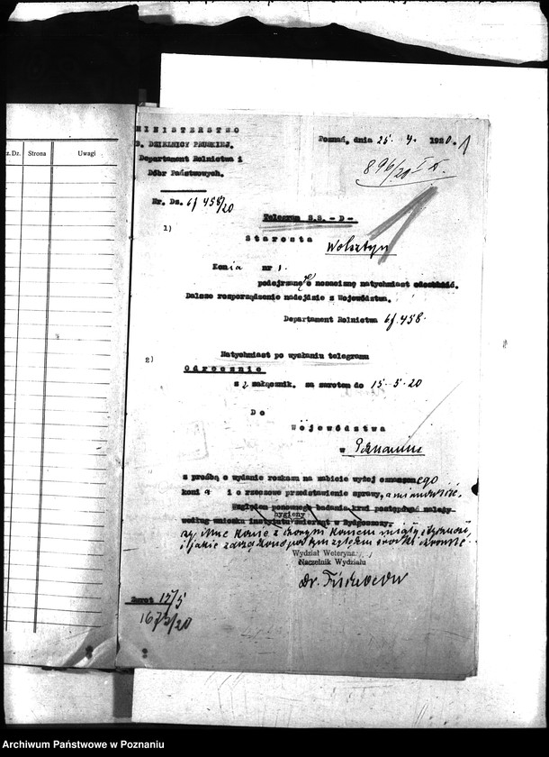 Obraz 5 z jednostki "Nosacizna - Wolsztyn"