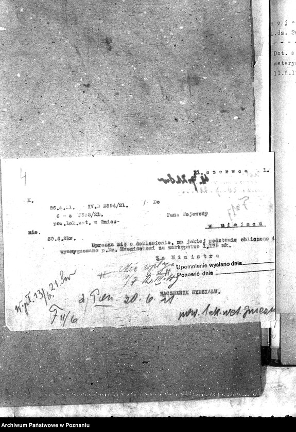 Obraz 8 z jednostki "Pow. lekarz Weterynaryjny Gniezno"