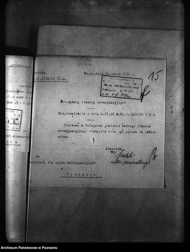 Obraz 19 z jednostki "[weterynarze narodowości niemieckiej]"