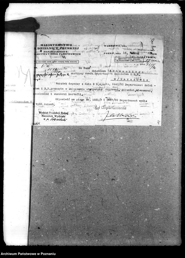 Obraz 12 z jednostki "Statystyka"