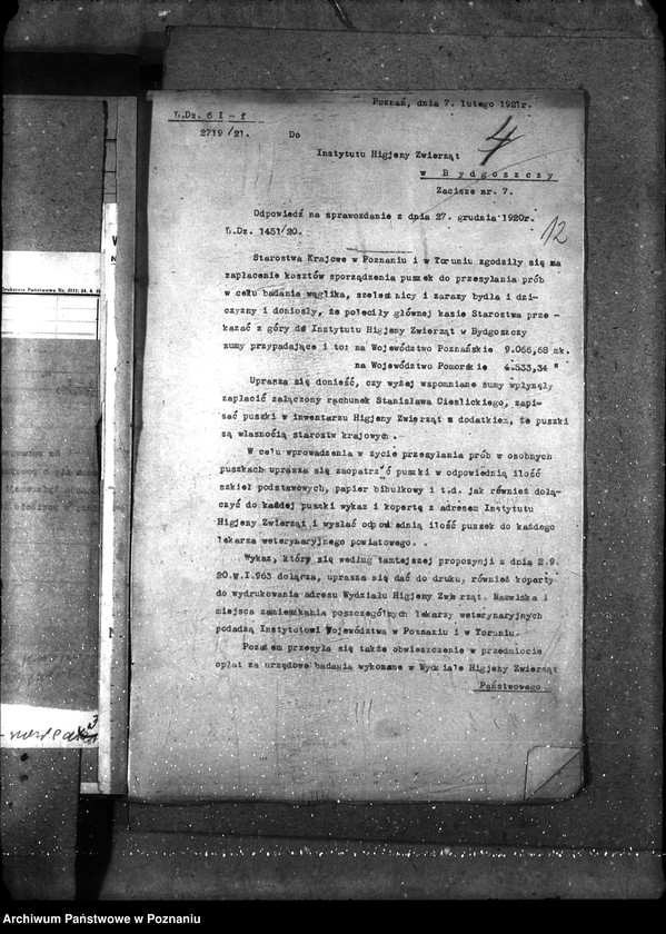 Obraz 16 z jednostki "Sprawy ogólne wąglik, szelestnica i zaraza dziczyzny"