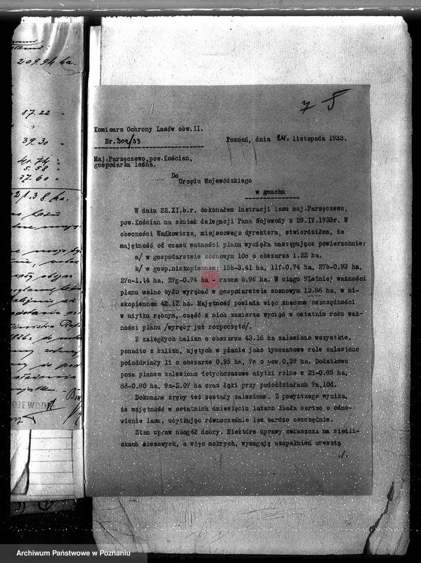 Obraz 11 z jednostki "Majętność leśna w Parzęcinie powiat kościański"