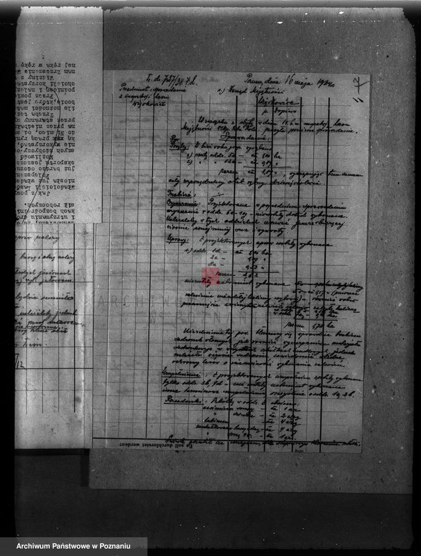 Obraz 11 z jednostki "Program gospodarczy dla lasu J. Kajewskiego w gminie Wiórek powiat poznański 1929-1939"