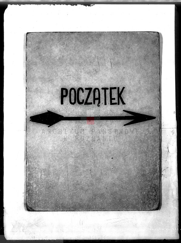 Obraz 3 z jednostki "Sprawozdanie z działalności organów ochrony lasów za 1930"
