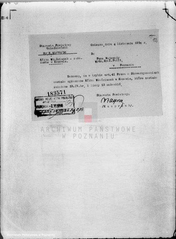 Obraz 16 z jednostki "/Związek Włościanek Wielkopolskich/"