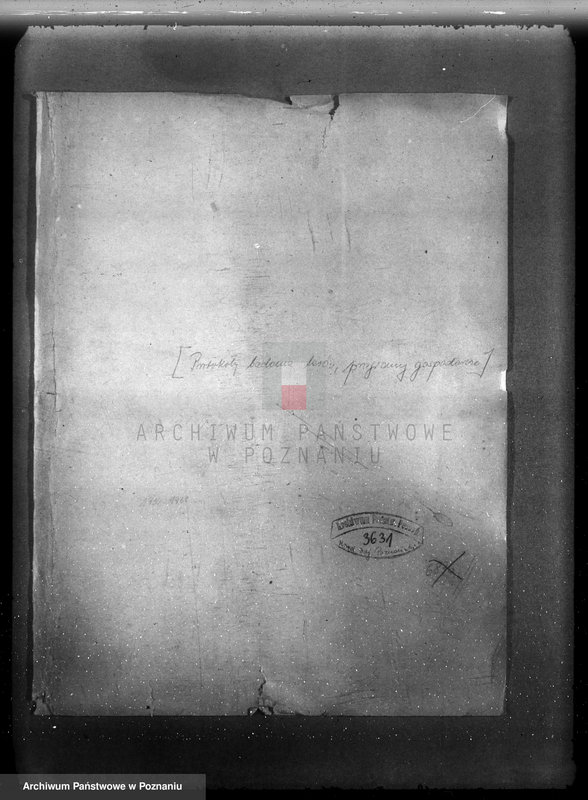 Obraz 4 z jednostki "/Nadzór nad gospodarką leśną/ protokoły badania lasów, programy gospodarcze powiat nowotomyski"