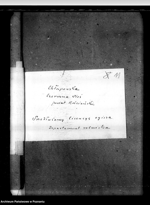 image.from.unit.number "Sprawy stadnin ogiery nielicencjonowane"