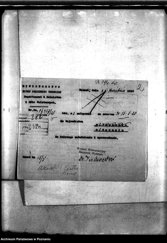 Obraz 6 z jednostki "Nosacizna - Kościerzyna"