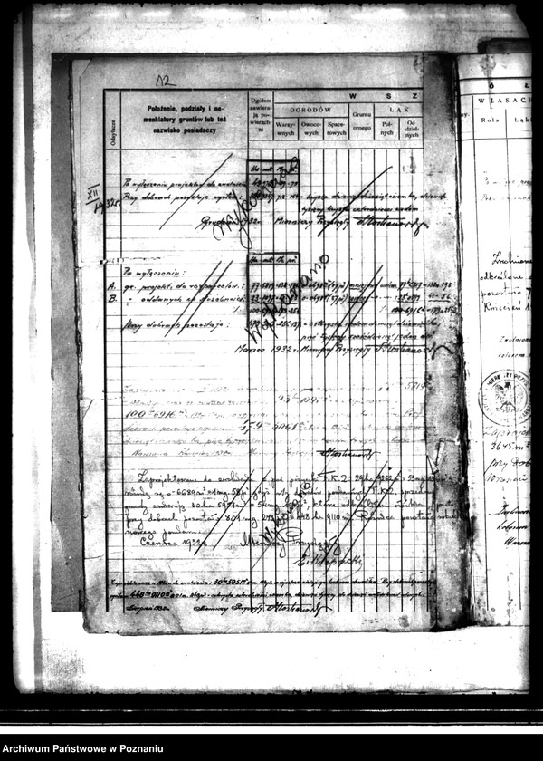 Obraz 16 z jednostki "/Rejestr pomiarowy dóbr Szczytniki powiat kaliski"