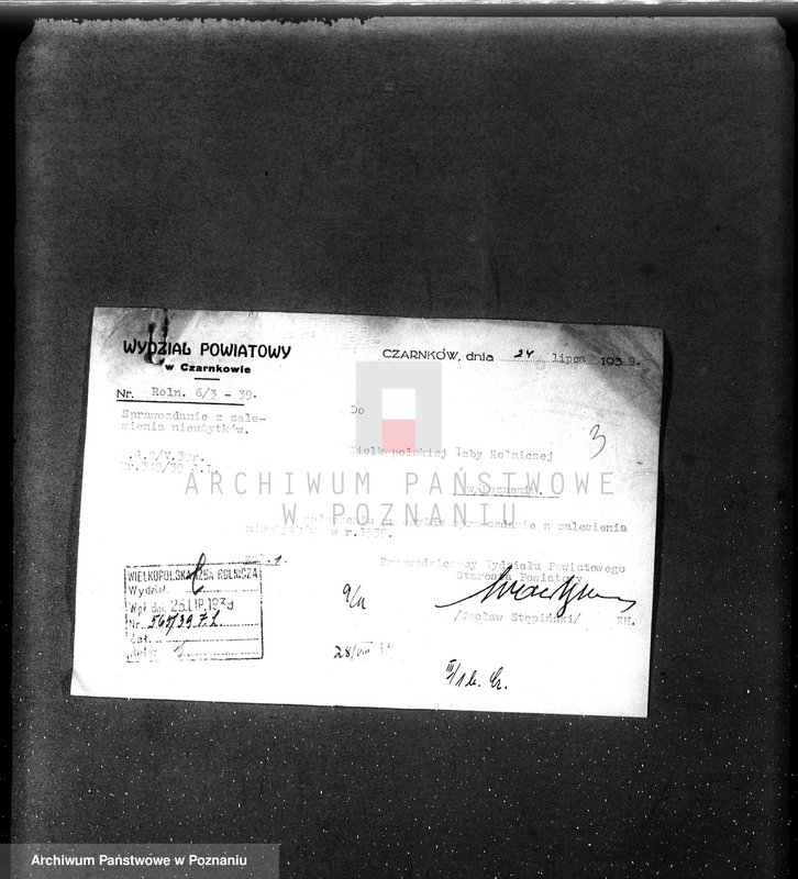 Obraz 7 z jednostki "Zalesianie nieużytków w powiecie czarnkowskim pod nadzorem Wielkopolskiej Izby Rolniczej"