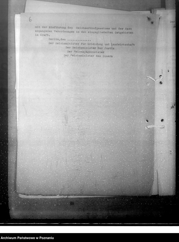 Obraz 10 z jednostki "Reichspachtschutzordnung"