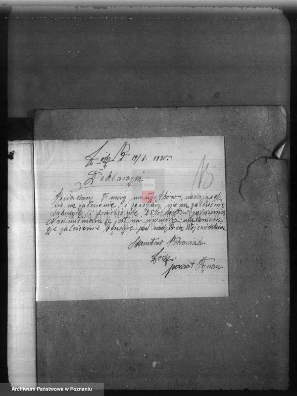 Obraz 17 z jednostki "Zalesienie nieużytków w powiecie poznańskim"