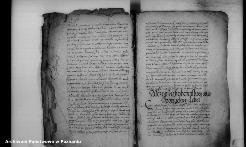 Obraz 8 z jednostki "Inscriptiones [inducta]"