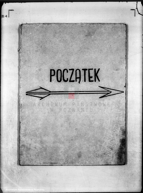 Obraz 3 z jednostki "/Towarzystwo Ornitologiczne w Poznaniu/"