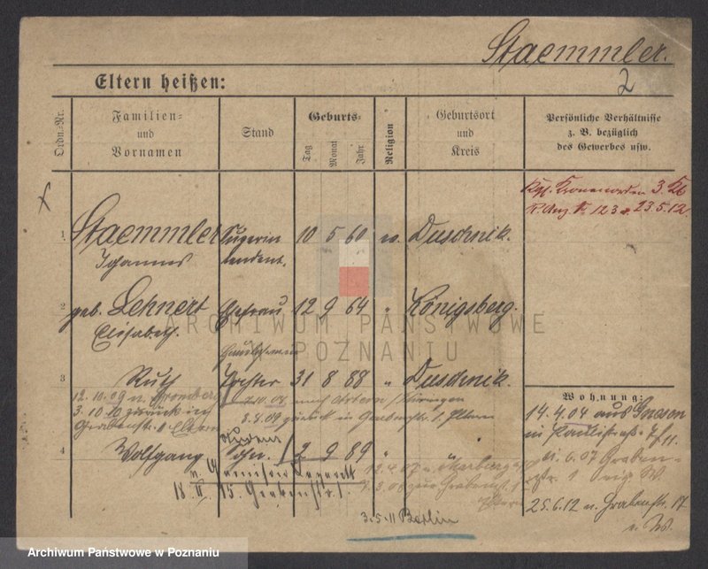 Obraz 6 z jednostki "Stemler - Steńko"