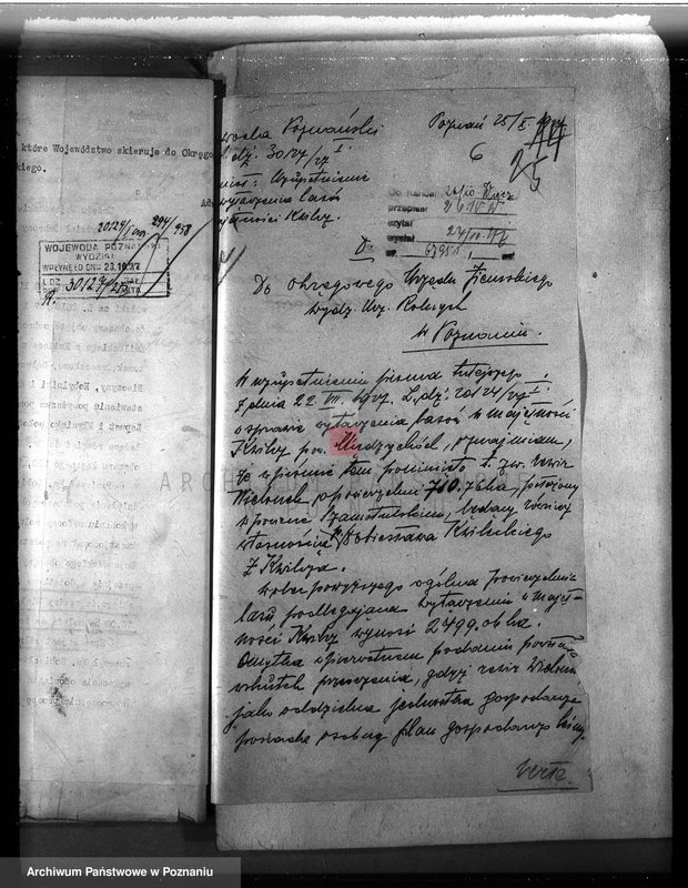 Obraz 10 z jednostki "Majętność leśna w Kwilczu w powiecie międzychodzkim"