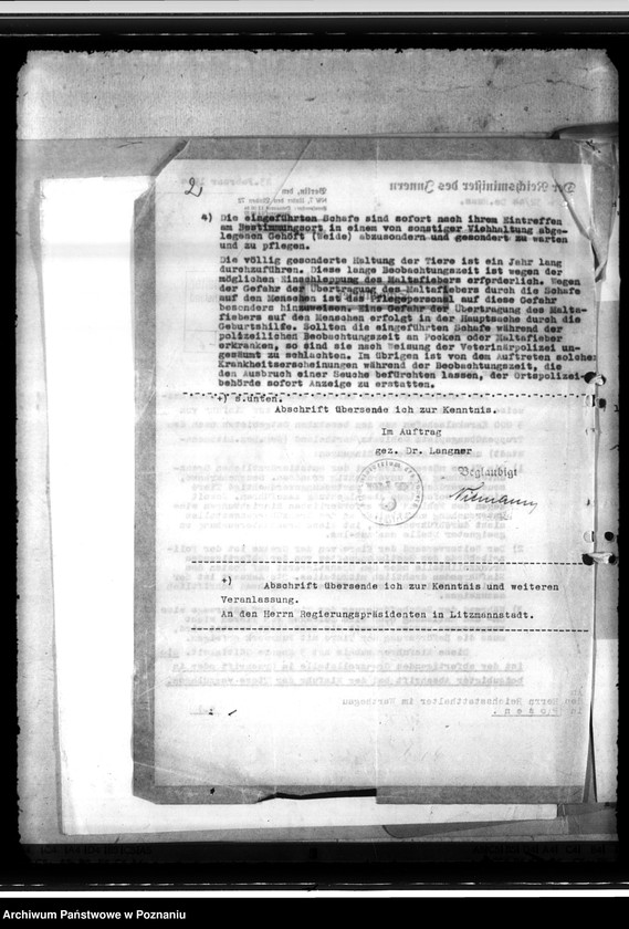 Obraz 6 z jednostki "Einfuhr von Karakulschafen aus den Besetzten Ostgebieten"