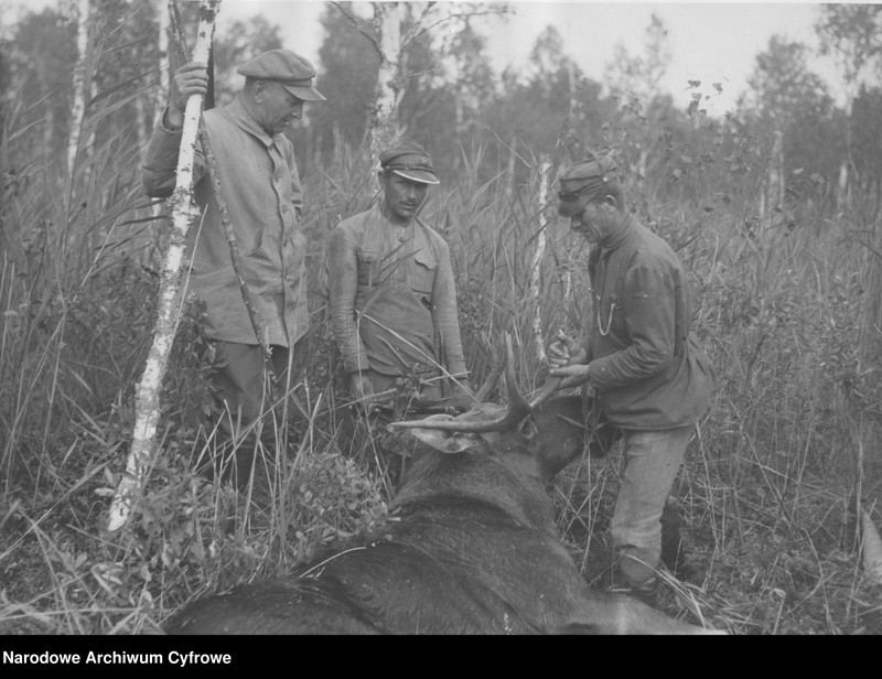 image.from.unit.number "Polowanie na łosie w majątku hrabiego Jarosława Potockiego"