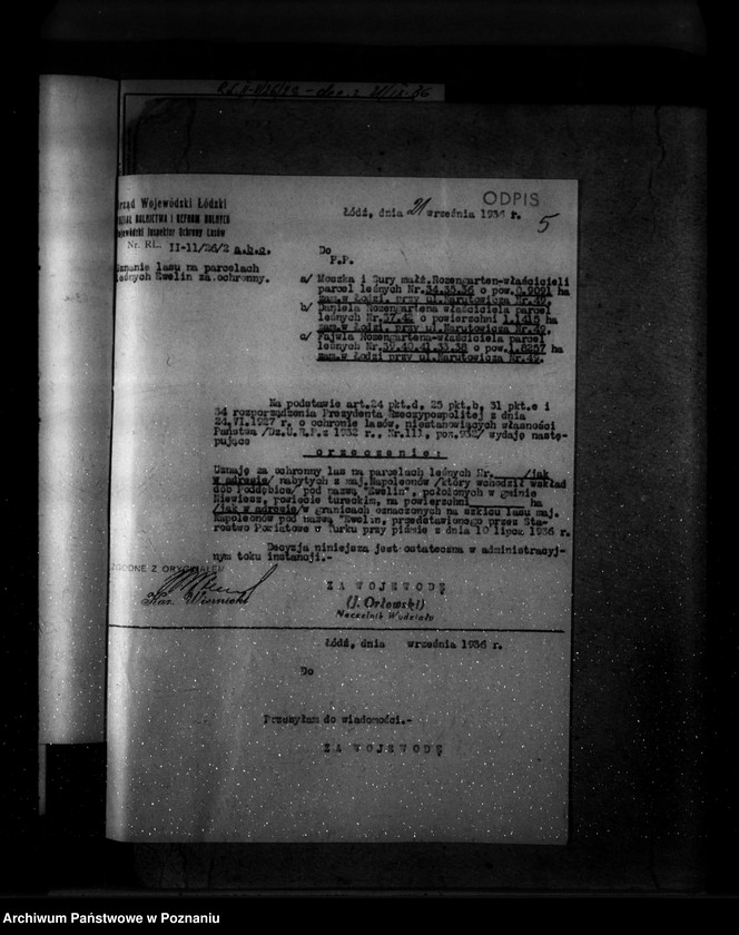 Obraz 9 z jednostki "Parcele leśne p.n.,,Ewelin" gmina Niewiesz powiat turecki"