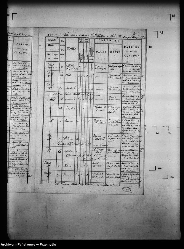 Obraz 8 z jednostki "[Kopie ksiąg metrykalnych parafii Berest z filią Polany (dekanat Grybów)]"