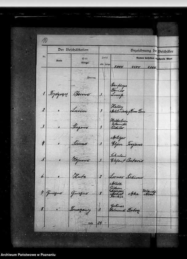 Obraz 14 z jednostki "Sprawy stadnin rozdział rządowych ogierów na stacjach"