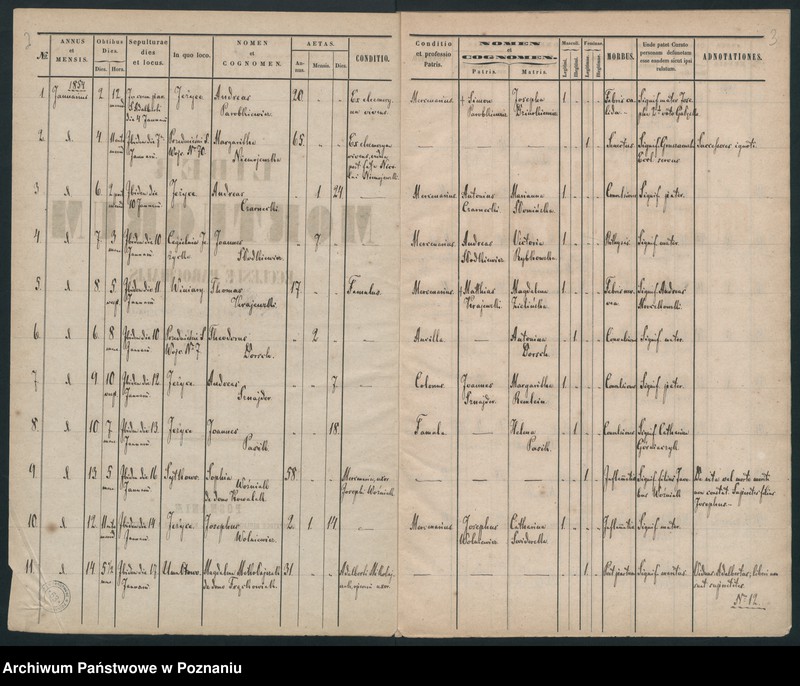 Obraz 4 z jednostki "Księga zgonów"