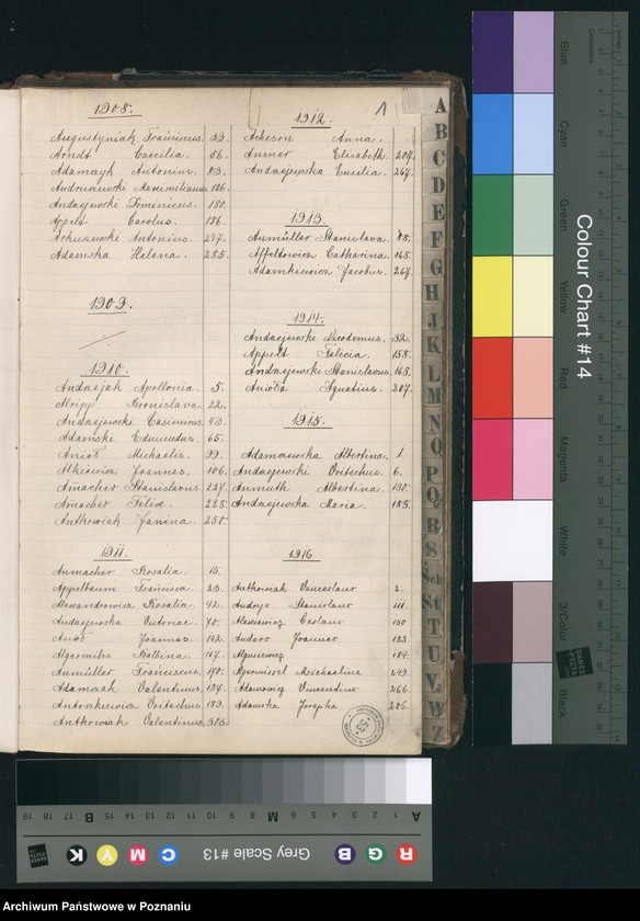 Obraz 3 z jednostki "Indeks zgonów"