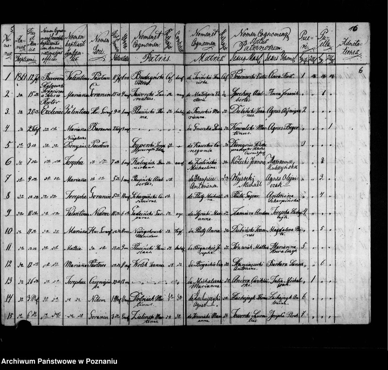 Obraz 6 z jednostki "Liber baptisatorum, copulatorum, mortuorum"
