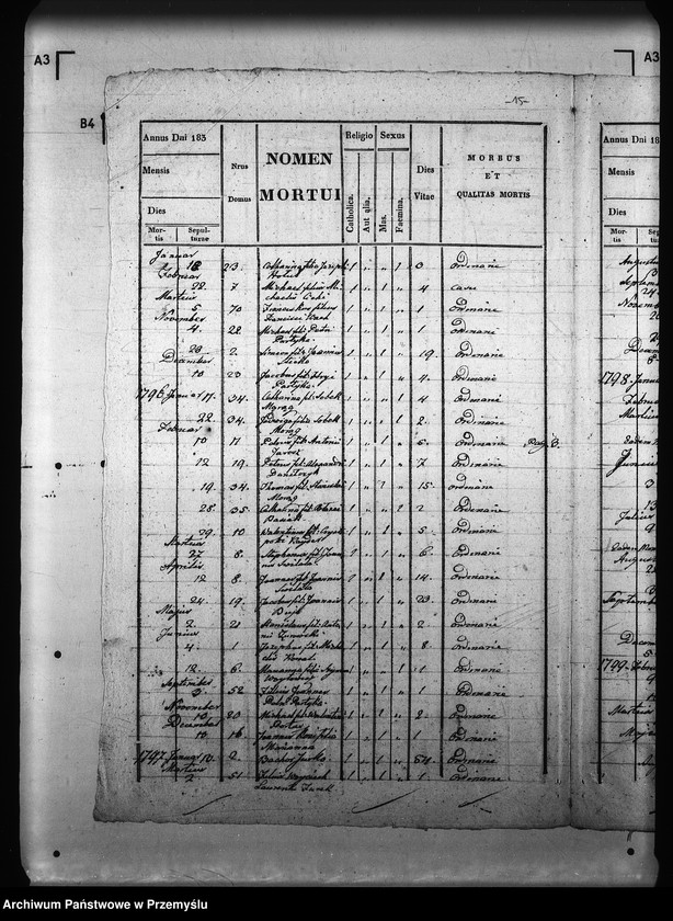 image.from.unit.number "[Kopie ksiąg metrykalnych parafii Mirocin z filiami Grzęska, Gorliczyna, Rozbórz (dekanat Leżajsk)]"