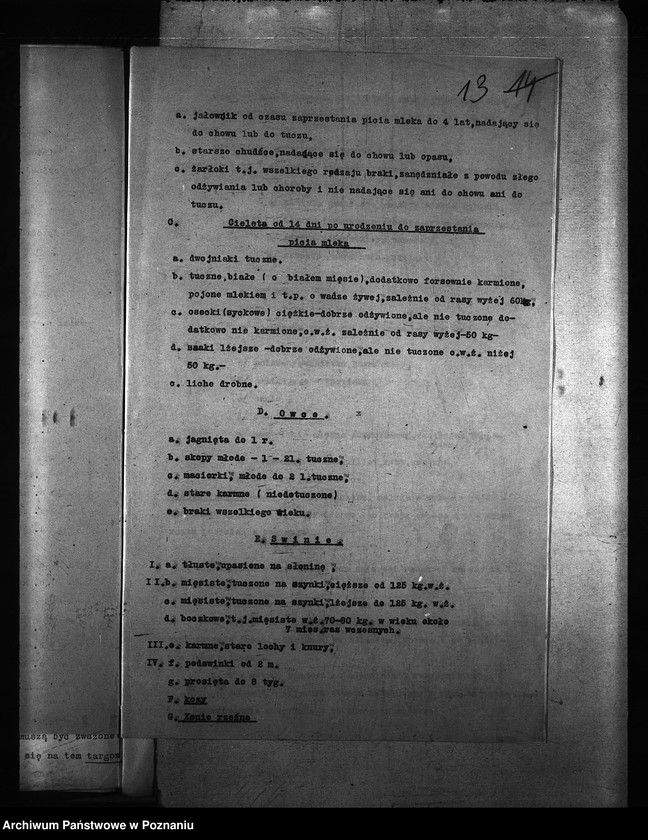 Obraz 17 z jednostki "Obrót zwierzętami [bydłem] ogólne sprawy"