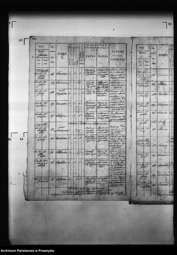 Obraz 8 z jednostki "[Kopie ksiąg metrykalnych parafii Miżyniec z filiami Gdeszyce, Zrotowice (dekanat Niżankowice)]"
