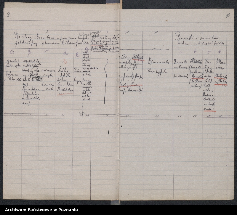 Obraz 11 z jednostki "[Główny Urząd Żywnościowy] - zwiększenie powierzchni uprawnej, statystyka powierzchni zasiewów"