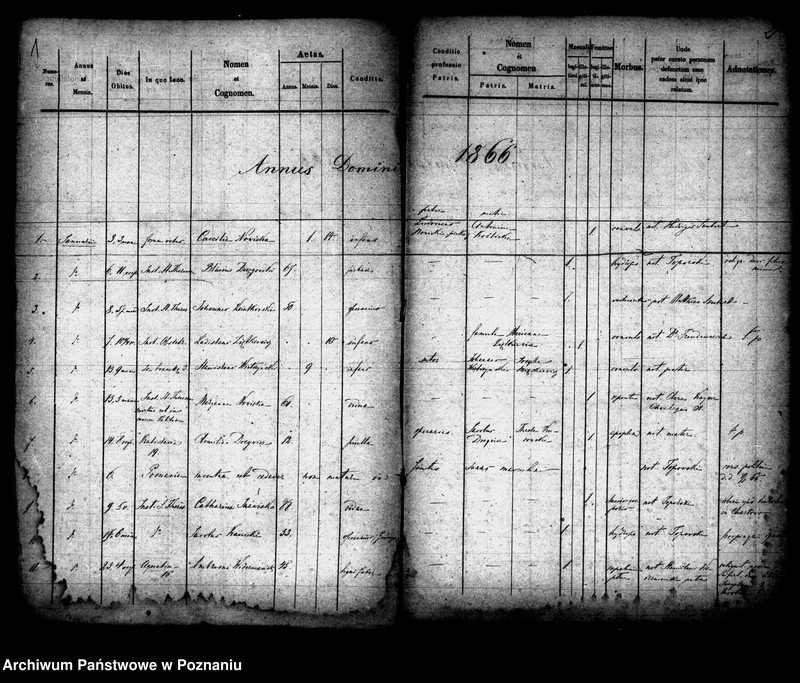 Obraz 2 z jednostki "Księga zgonów"