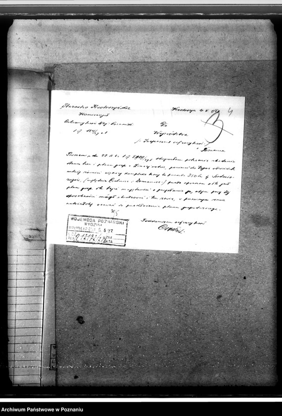 Obraz 8 z jednostki "Majętność leśna Zimnawoda w powiecie gostyńskim"