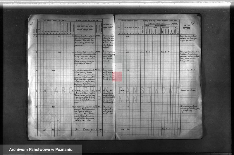 Obraz 18 z jednostki "Plan urządzenia gospodarstwa leśnego lasu majętności Łężeczki w powiecie międzychodzkim 1930-1939"
