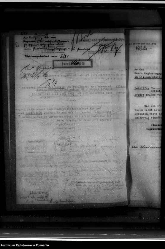 Obraz 8 z jednostki "Übernahme der Rückwanderer in den öffentlichen Dienst"