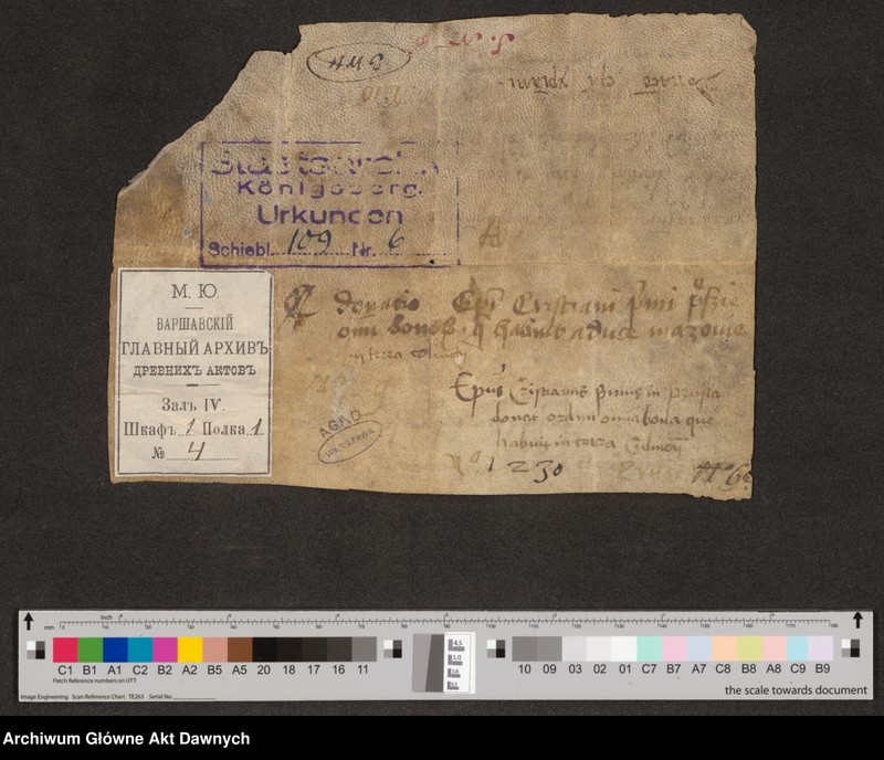 Obraz z jednostki "Chrystian, pierwszy biskup Prus, w związku z wyludnieniem ziemi chełmińskiej z powodu napadów pogan i w celu obrony Kościoła, tereny"